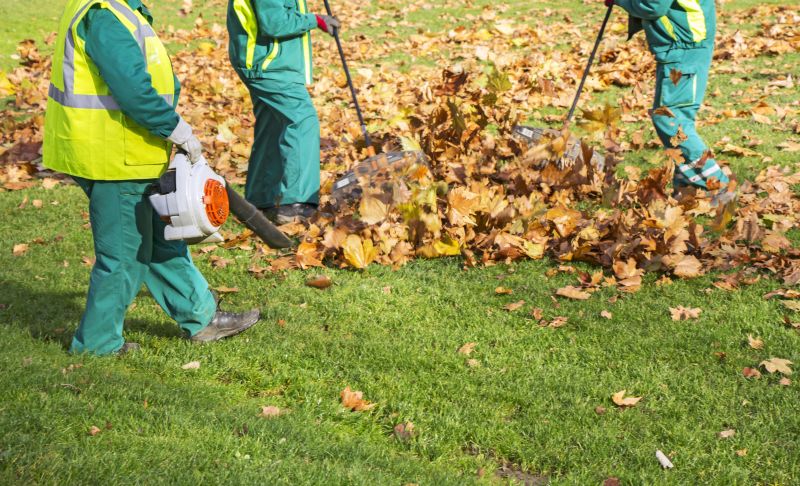 Cost of Commercial Leaf Removal in Morgan Hill, CA