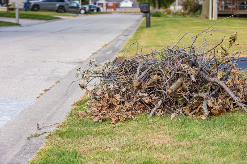 Ditch Leaf Removal