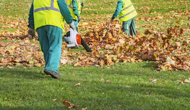 Leaf Removal Services