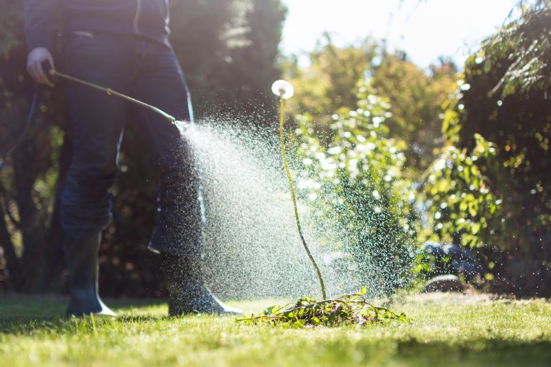 Cost of Garden Deweeding in Morgan Hill, CA