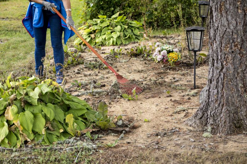 Cost of Leaf Raking Service in Morgan Hill, CA
