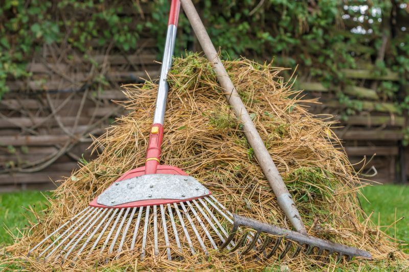 Pine Straw Raking