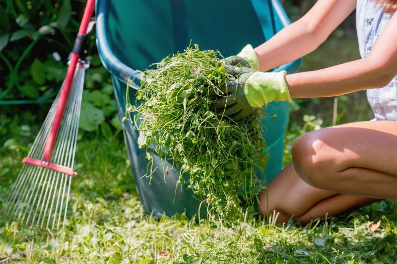 Cost of Yard Cleanup Service in Morgan Hill, CA
