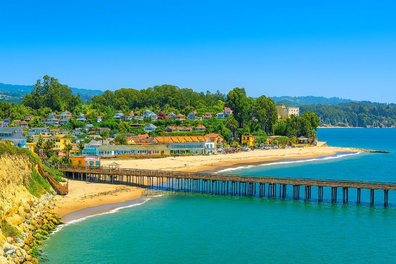 Yard Cleanup Service in Santa Cruz County, CA