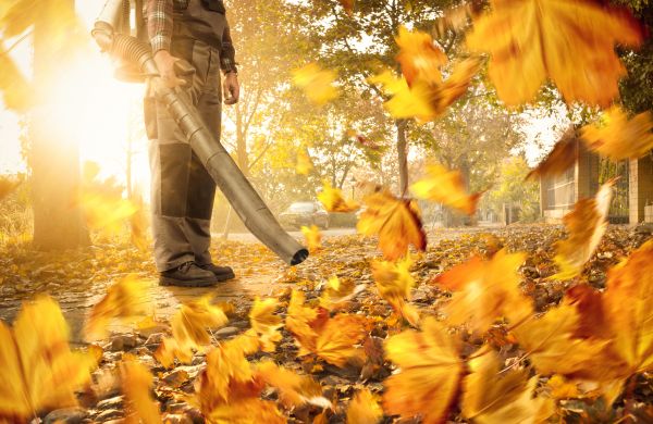 Leaf Blowing Service in Morgan Hill