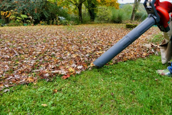 Leaf Vacuuming Service in Morgan Hill