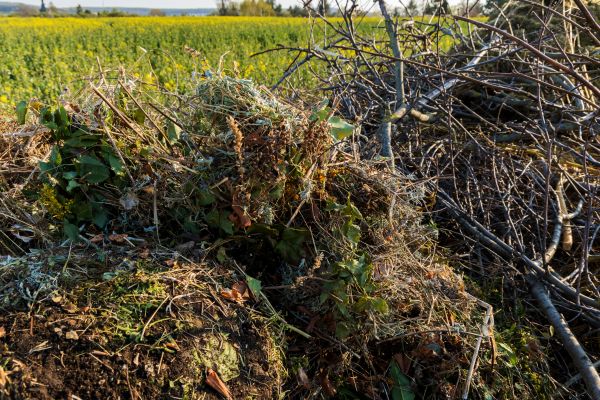 Brush Disposal in Morgan Hill