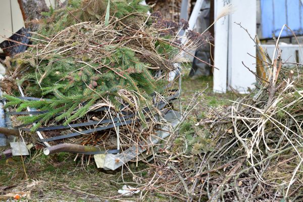 Yard Waste Removal Service in Morgan Hill