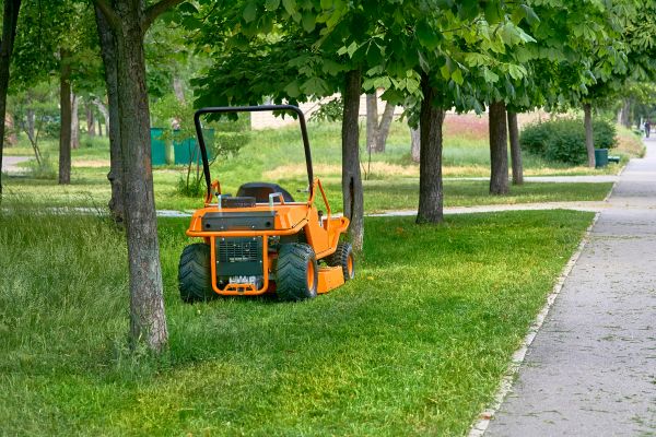 Landscaping Cleanup Service in Morgan Hill
