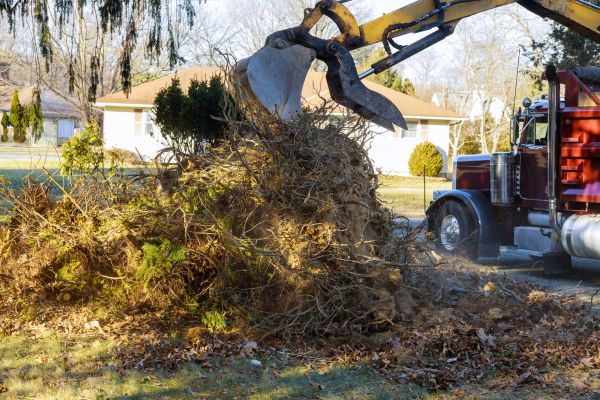 Storm Debris Removal in Morgan Hill