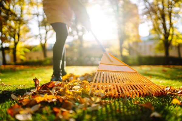 Leaves Raking in Morgan Hill