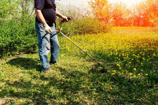 Yard Clearing Service in Morgan Hill