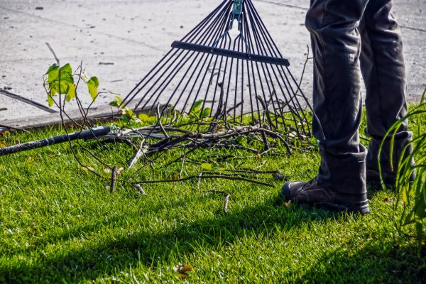 Yard Debris Cleanup in Morgan Hill