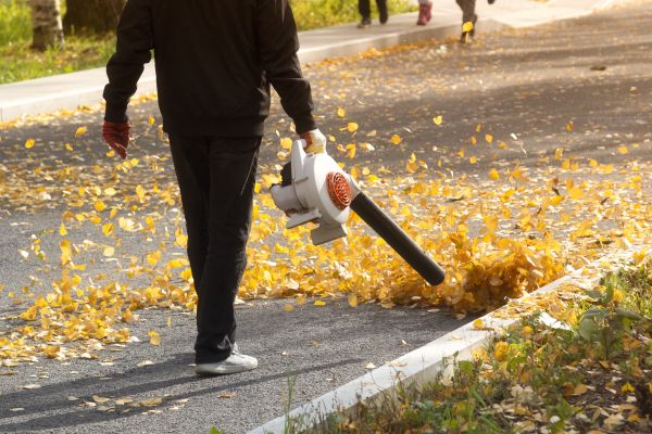 Commercial Leaf Removal in Morgan Hill