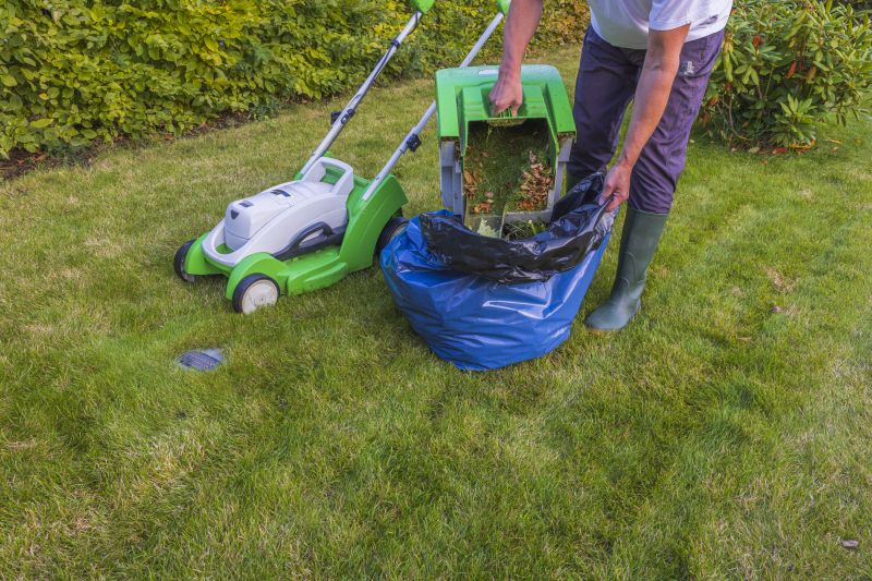 Lawn Clean Up Service