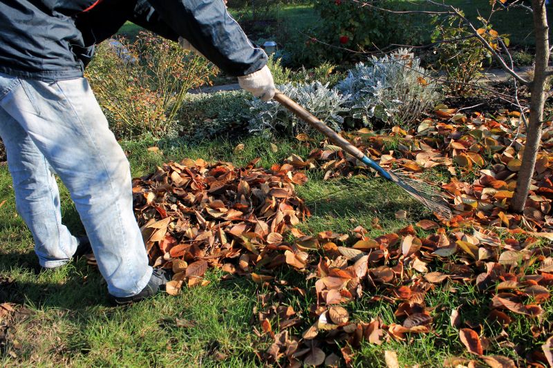 Autumn Leaf Removal