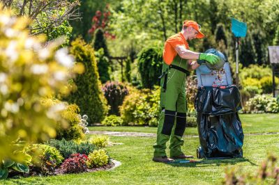 Commercial Leaf Removal