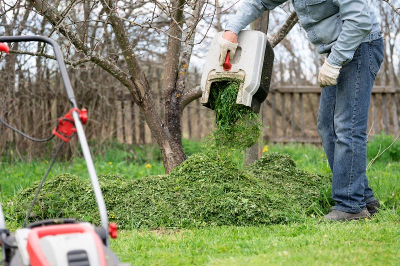 Lawn Clean Up Service