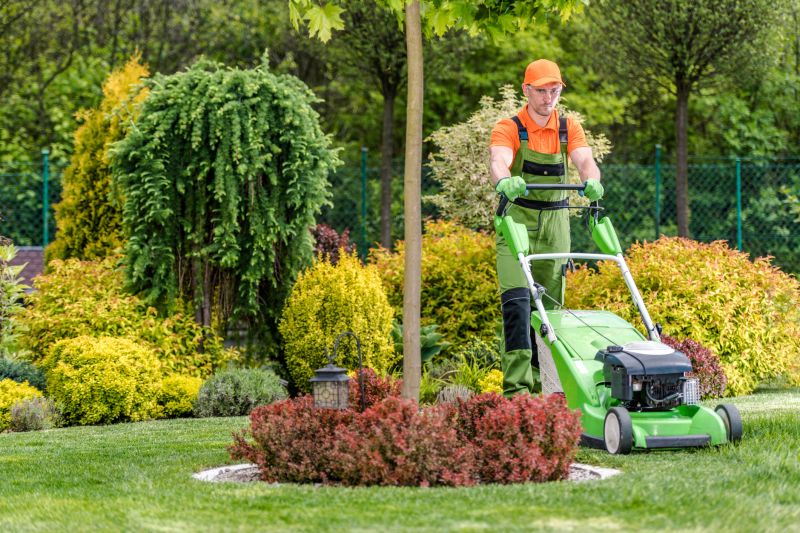 Lawn Clean Up Service