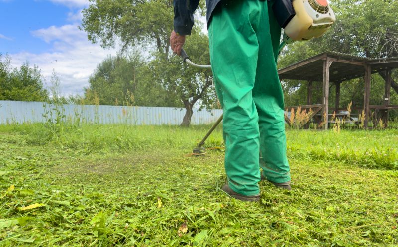 Lawn Clean Up Service