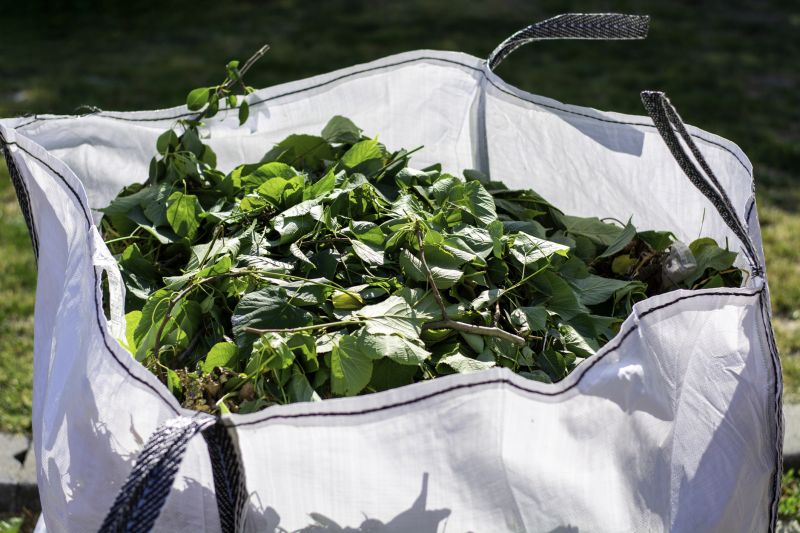 Ditch Leaf Removal