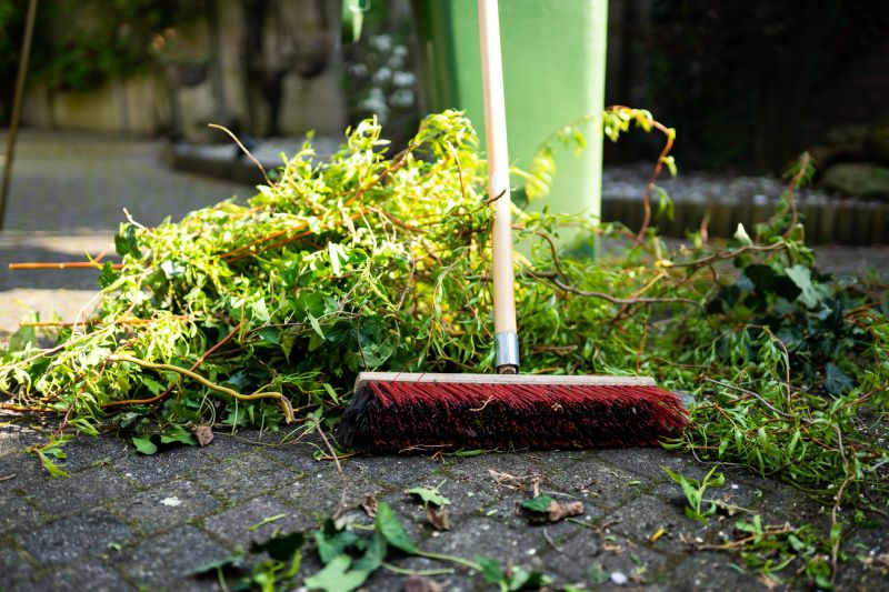 Ditch Leaf Removal