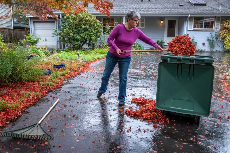 Disposal of Leaves