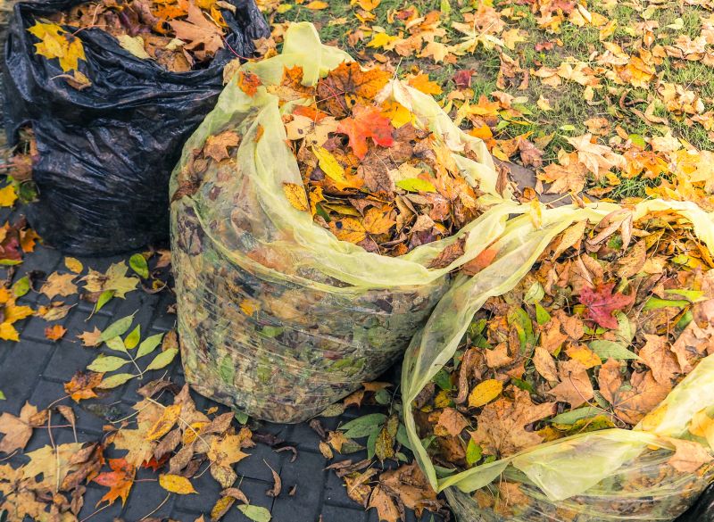 Fall Yard Cleanup Service