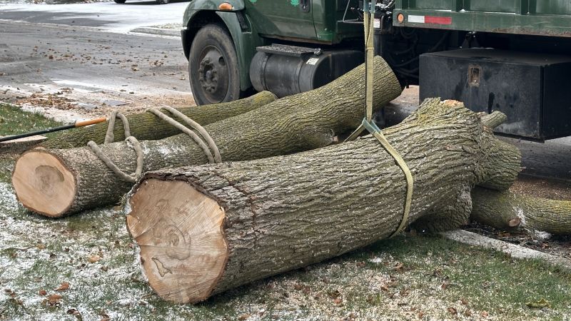 Commercial Leaf Removal detail