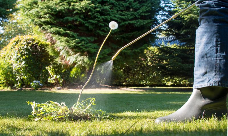 Garden Deweeding detail