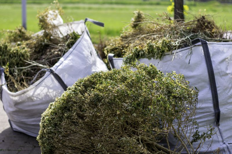 Lawn Debris Cleanup detail