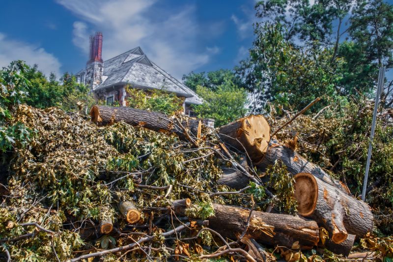 Leaf Removal detail