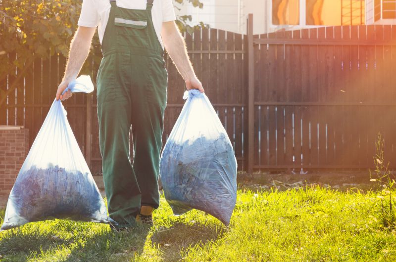 Yard Cleanup Service detail