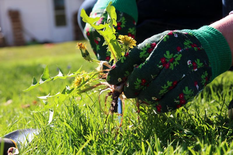 Garden Deweeding