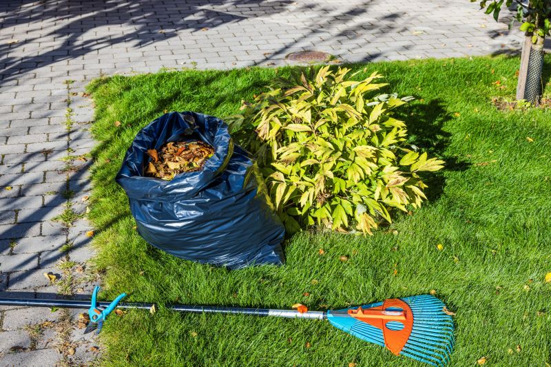 Garden Leaf Removal