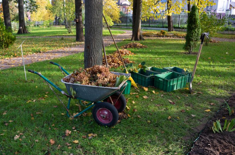 Garden Leaf Removal