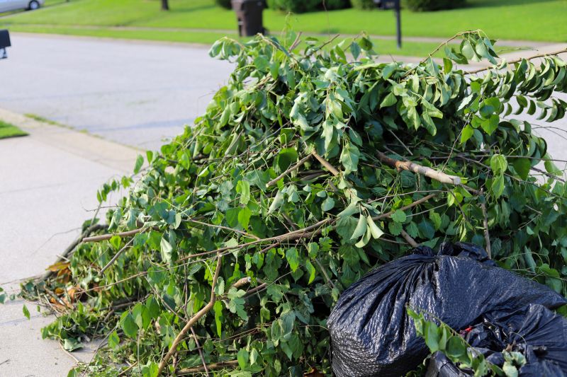 Garden Leaf Removal