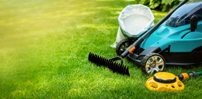Summer Yard Maintenance