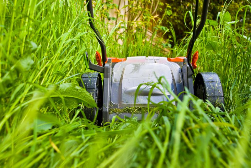 Overgrown Grass Trimming