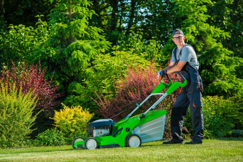 Budget-Smart Upgrades