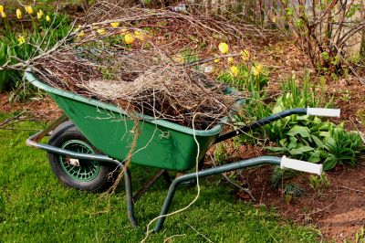 Lawn Debris Cleanup