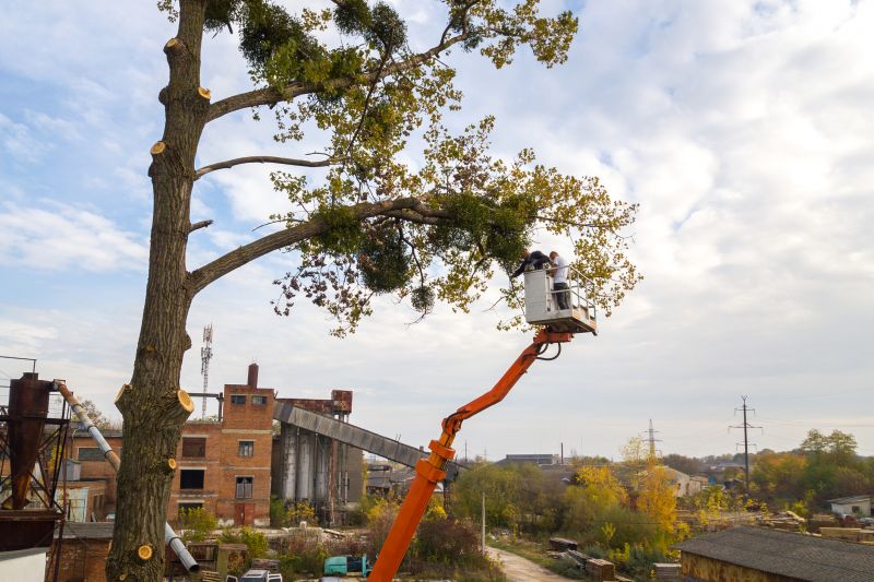Leaf Hauling Service