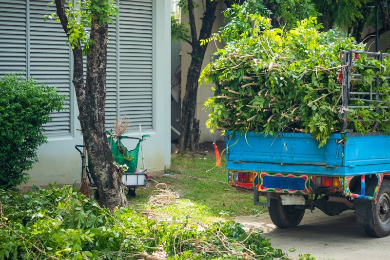 Leaf Hauling Service