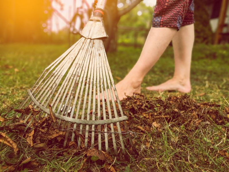 Leaf Raking Service