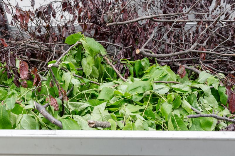 Leaves Removal