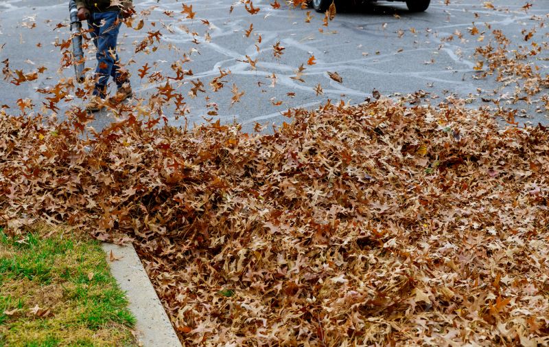 Leaves Vacuuming