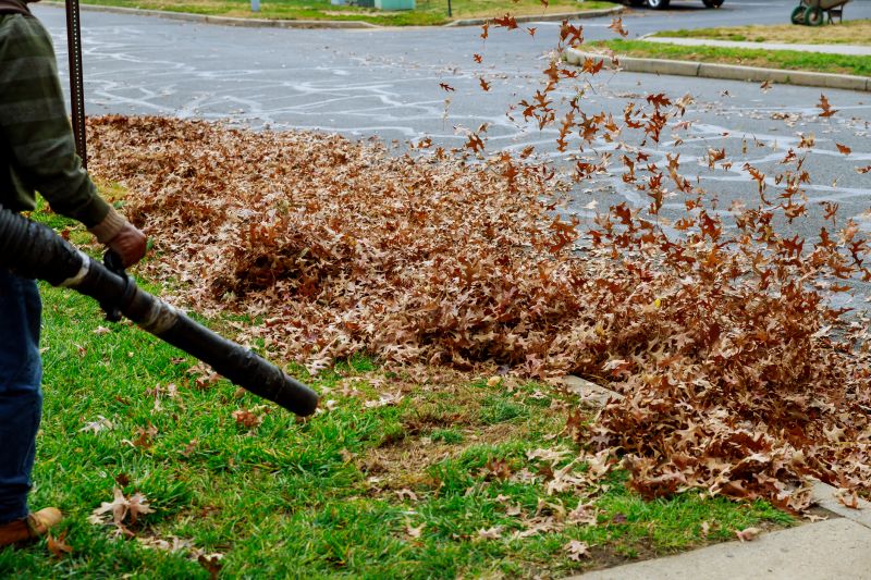 Leaves Vacuuming