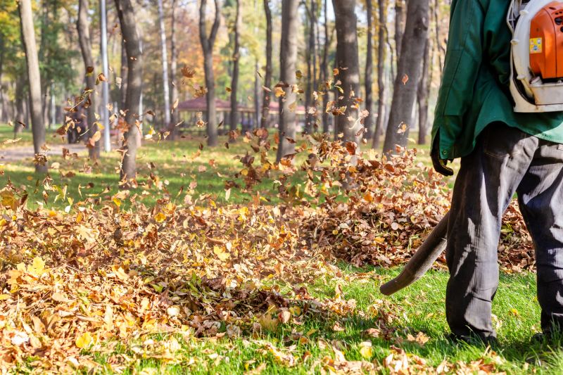 Leaves Vacuuming