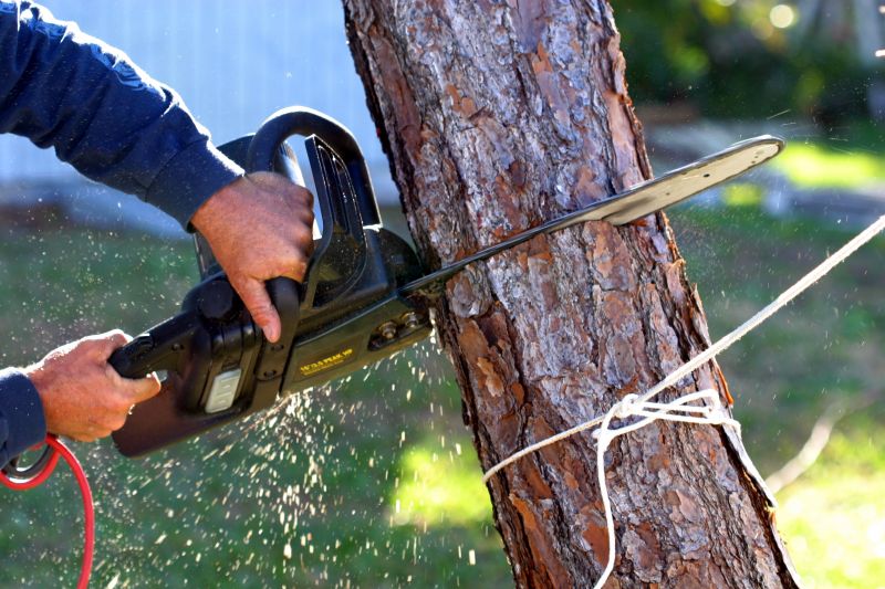 Limbs Removal