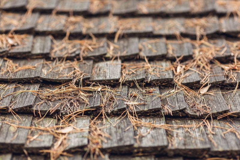 Pine Needles Removal
